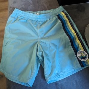 Vans Men's shorts